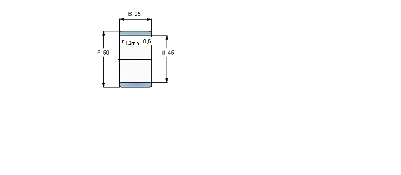 SKF LI(y)R45x50x25ӱDƬ